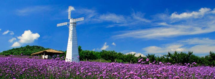 鄉(xiāng)村旅游規(guī)劃院:藍(lán)調(diào)薰衣草莊園旅游規(guī)劃鳥(niǎo)瞰圖