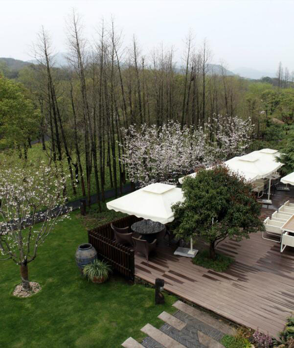 鄉(xiāng)村旅游規(guī)劃設計公司:熱土養(yǎng)生莊園旅游規(guī)劃之水杉林蔭道