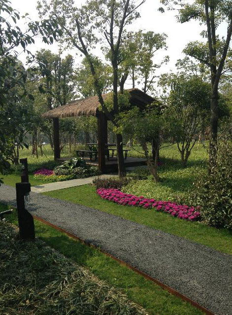 鄉(xiāng)村旅游規(guī)劃設計公司:熱土養(yǎng)生莊園旅游規(guī)劃之茅草亭