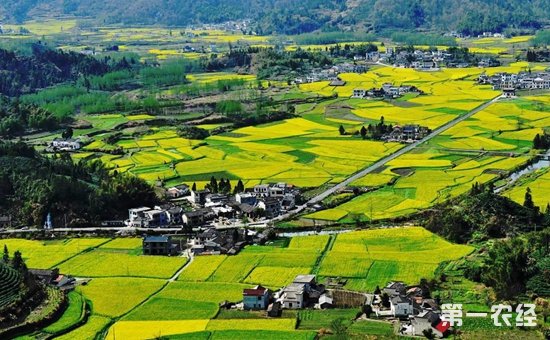 農(nóng)業(yè)部發(fā)文促鄉(xiāng)村旅游發(fā)展 鼓勵(lì)PPP模式